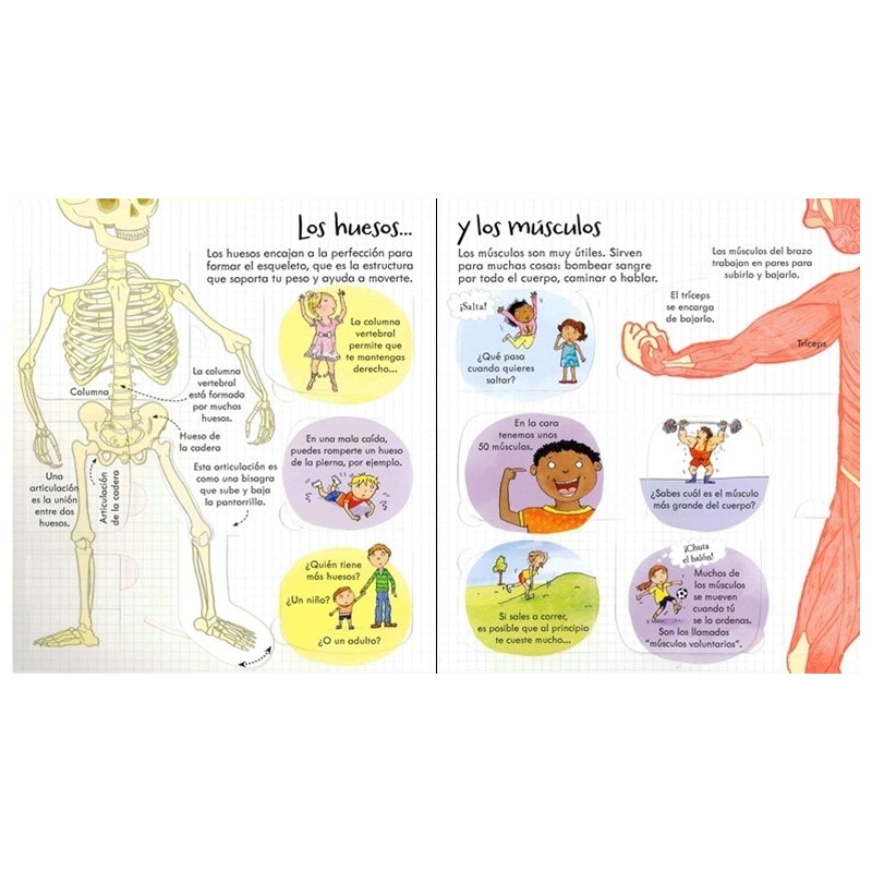 Tu cuerpo ¡Mira debajo!