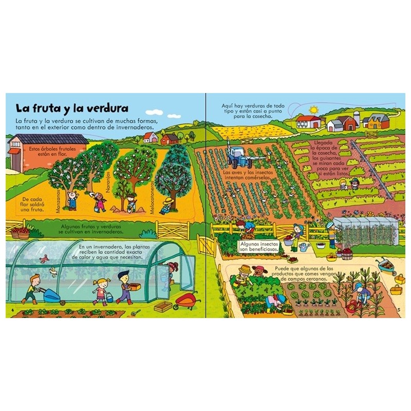 Los alimentos ¡Mira debajo!