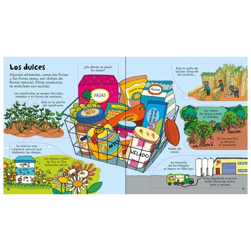 Los alimentos ¡Mira debajo!