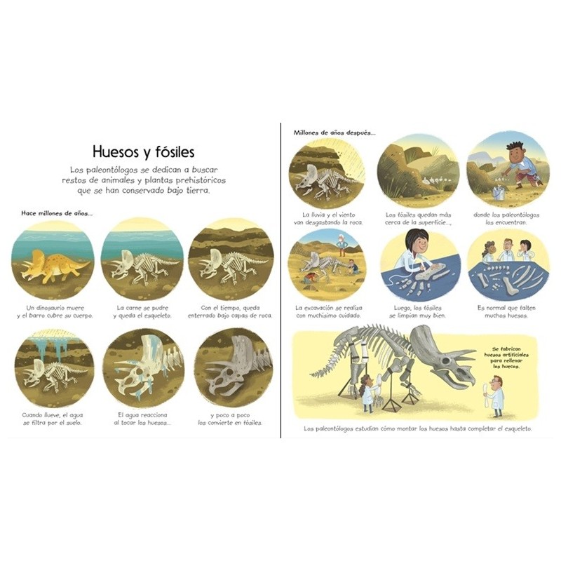 Mi primer libro sobre los dinosaurios