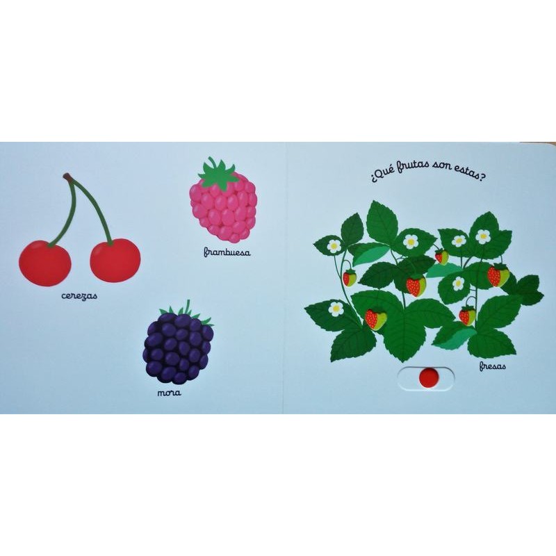 El pequeño libro de las frutas