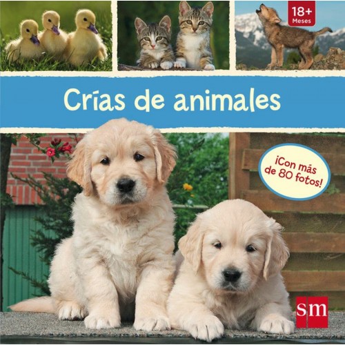 Crías de animales