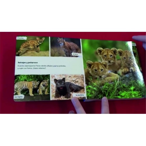 Crías de animales